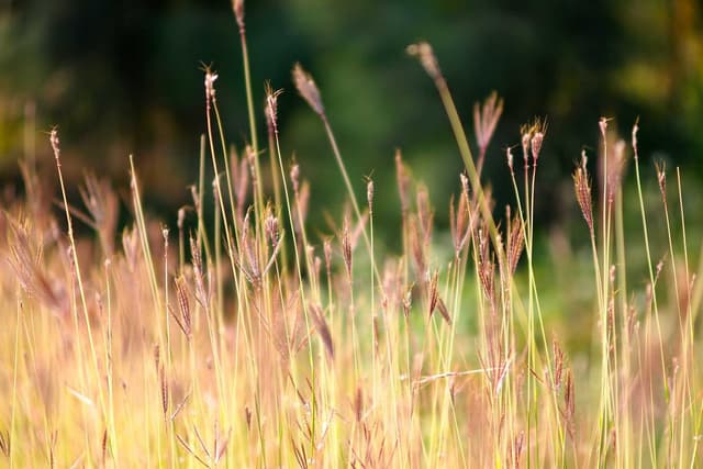 Building Better Products by Listening to Real Communities