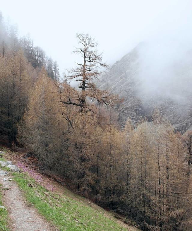 User experience design